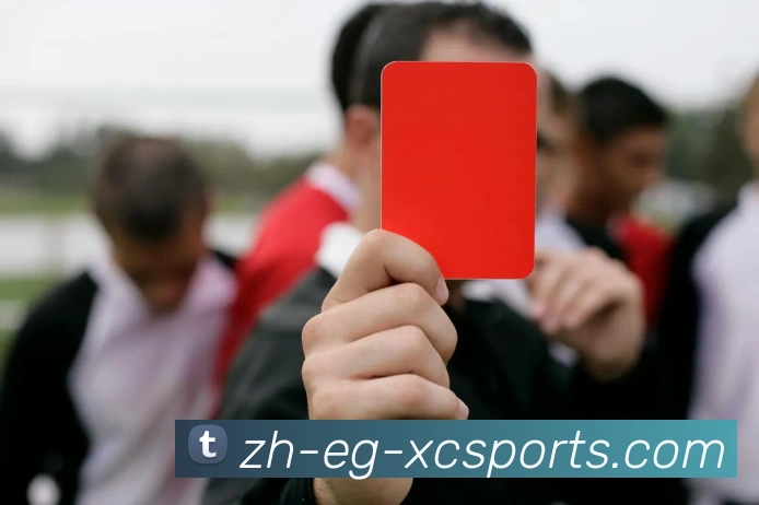 杏彩体育品牌故事