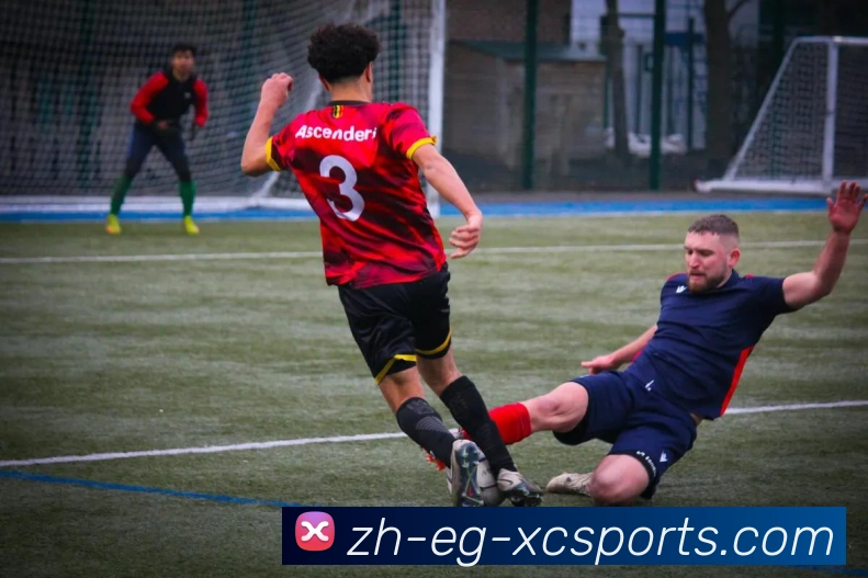 杏彩体育服务体系